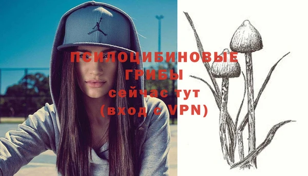 тгк Абдулино