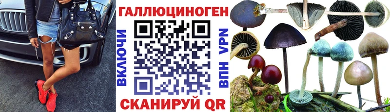 цены   Александровск  Галлюциногенные грибы мицелий 